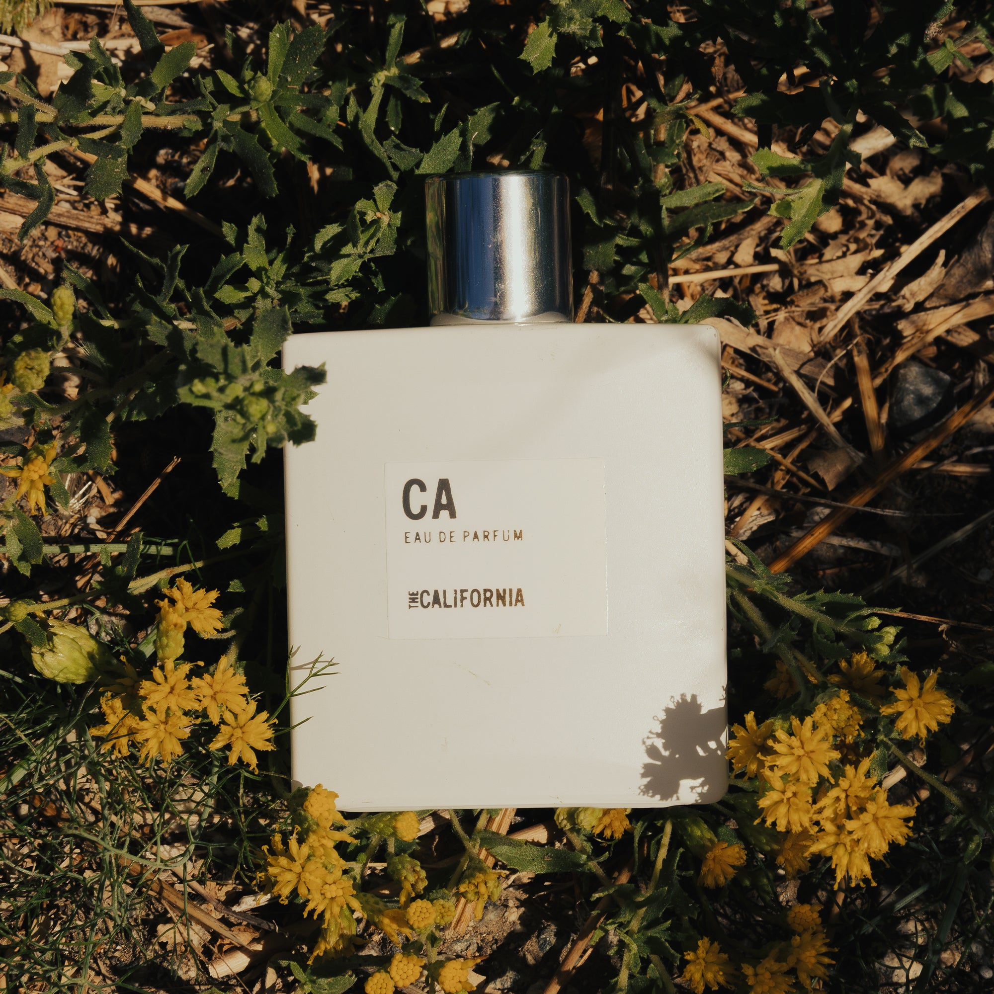 Order Now -THE CALIFORNIA | Eau de Parfum – Apothia