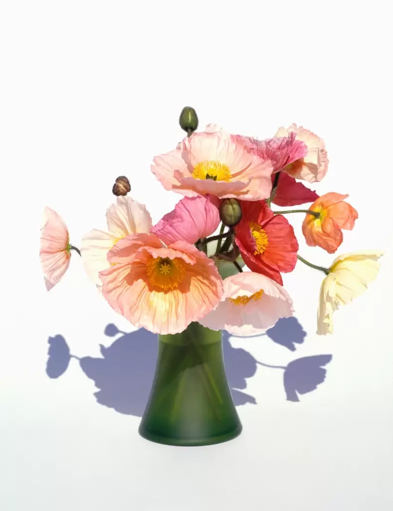 上田義彦 「FLOWERS」 | ArtSticker