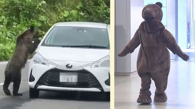 クマに会ったらどうする？札幌の“チカホ”に現れた「クマさん」たちが