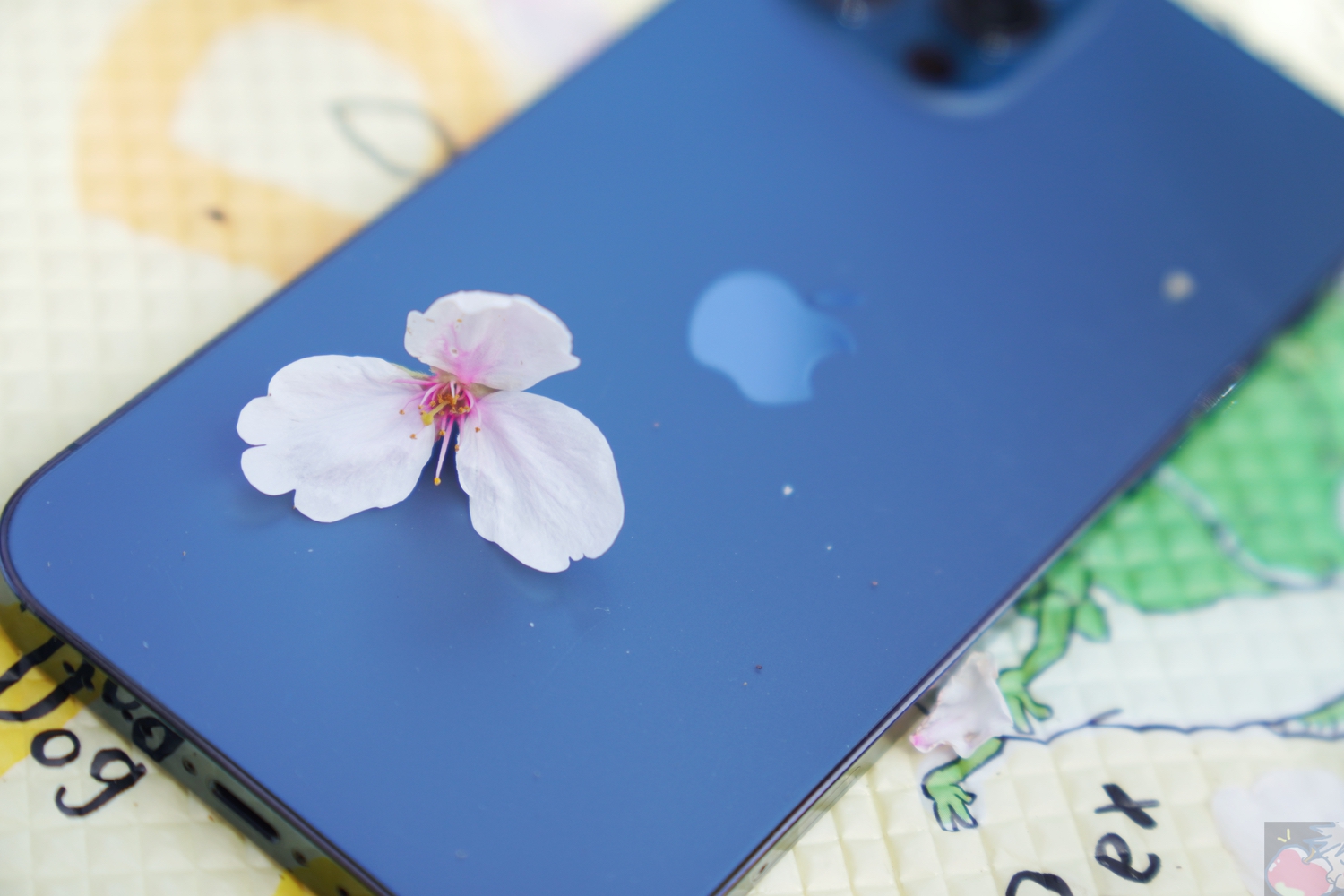 実はこっそり買ってたiPhone 12 Proがバキバキに割れて何もする気が