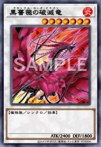 マスターデュエル】 黒薔薇の破滅竜の入手方法と採用デッキ | AppMedia