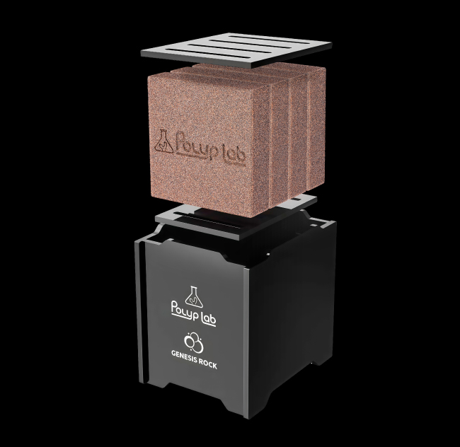 ジェネシスロック｜ZOOX｜MMC企画 レッドシー事業部