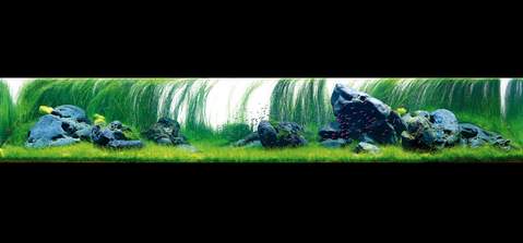 snvada2233_600x.jpg?v=1661822186