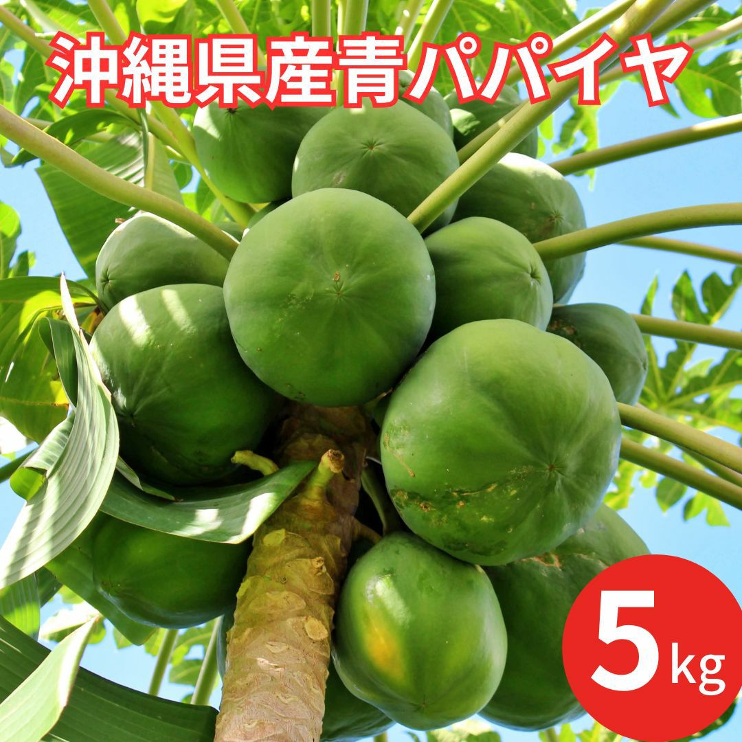沖縄県産青パパイヤ 5kg（約5～10玉） 【送料込】 | 沖縄アロエ