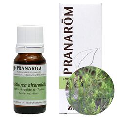 プラナロム ラベンダー アングスティフォリア｜アロマ×アロマ