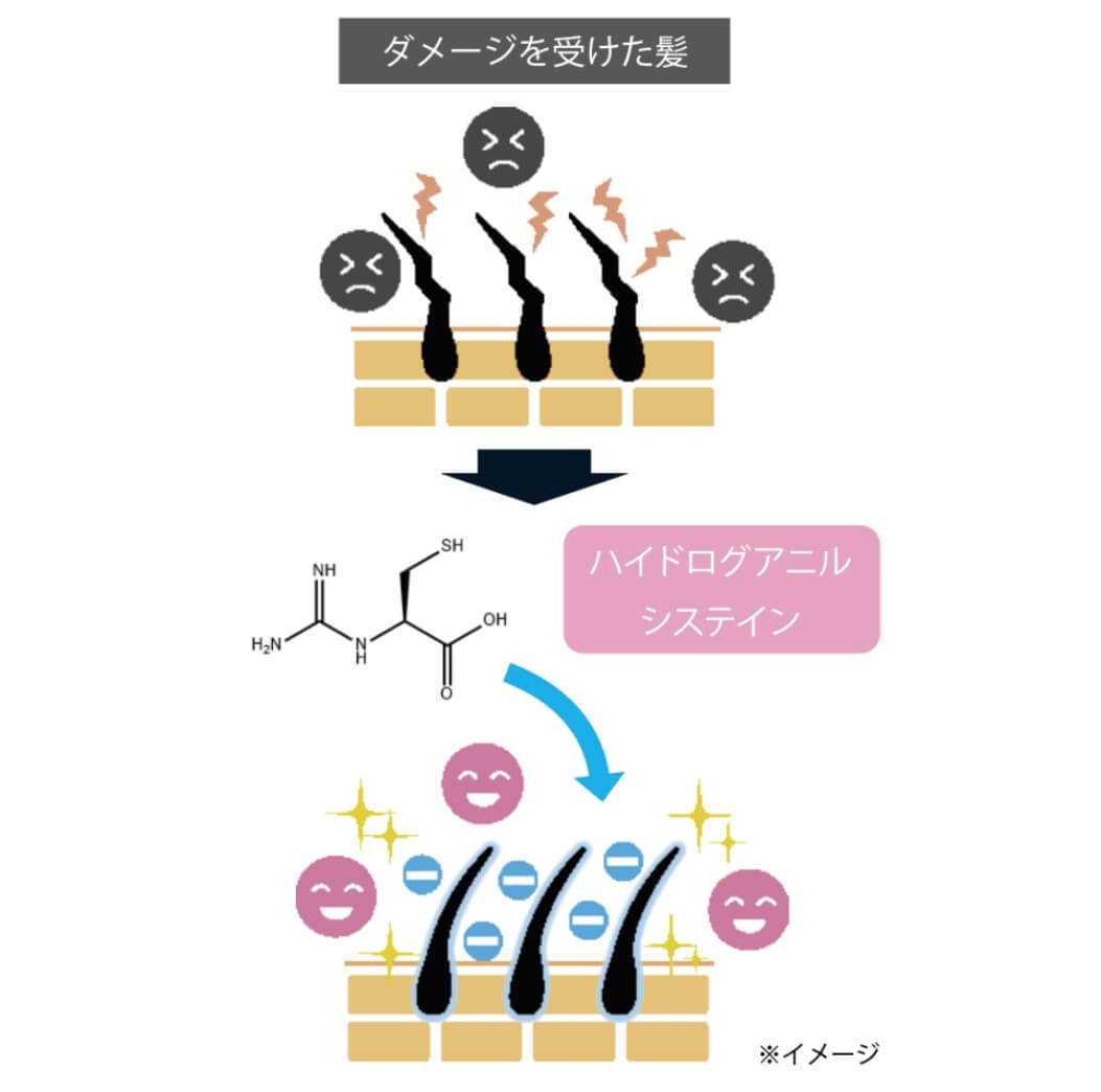 ARBELLIMO（アルベリーモ）