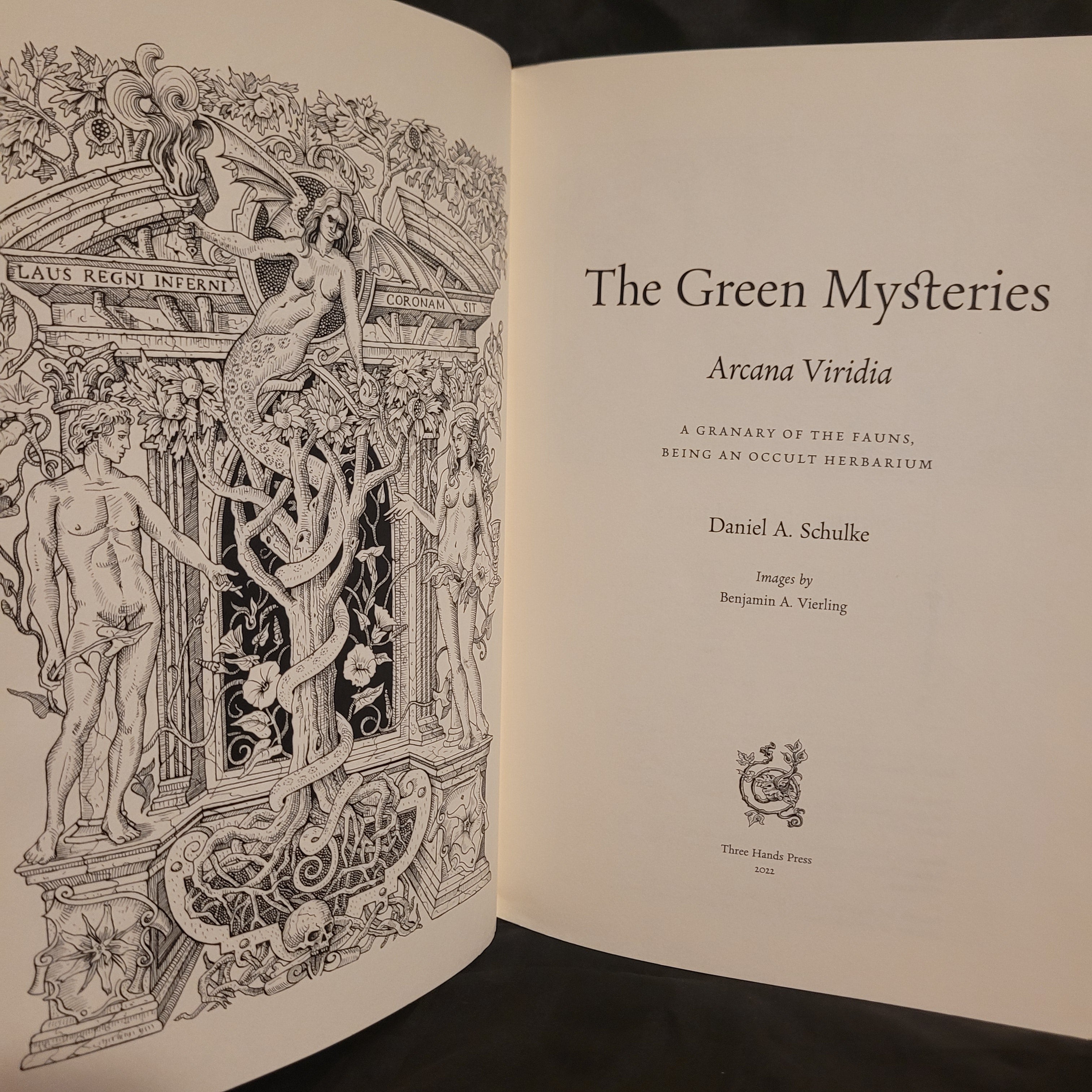 洋書 THE GREEN MYSTERIES Daniel Schulke Amazon.com: The Green