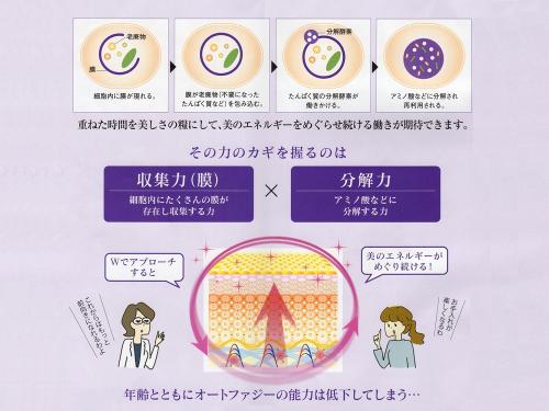 ナガセ ビューティケァ 健康食品 化粧品 通信販売 アルカンジュ / エコ