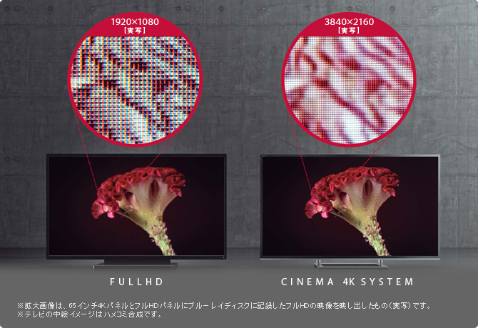 Z8X/4K高画質・サウンド/4K大画面・高画質｜テレビ｜REGZA：東芝