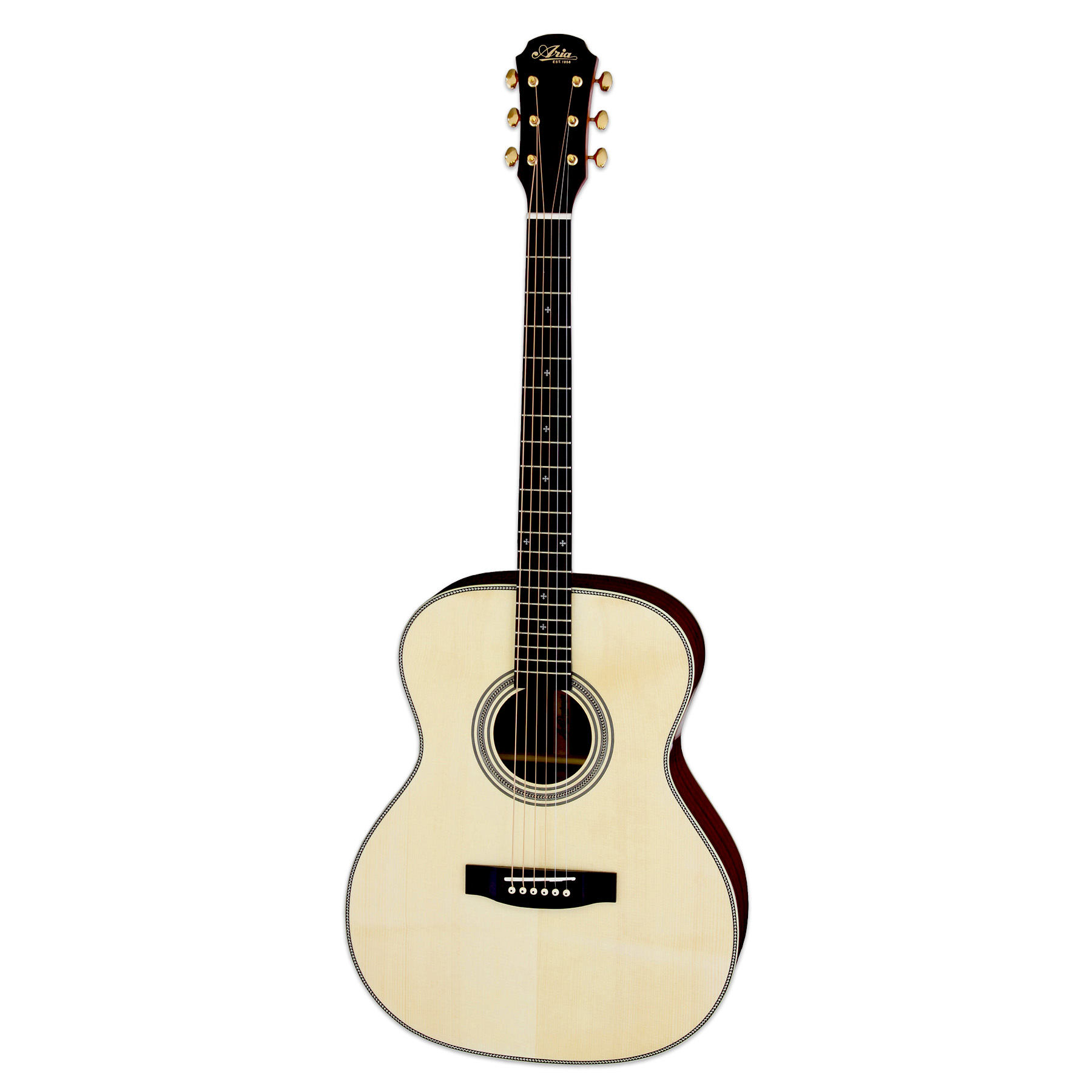 ARIA-501 - Aria Guitars - Electric, Acoustic, Classical Guitars