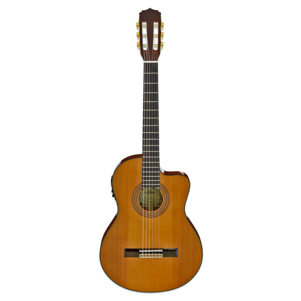 A-20 - Discontinued - Aria Guitars - Electric, Acoustic, Classical