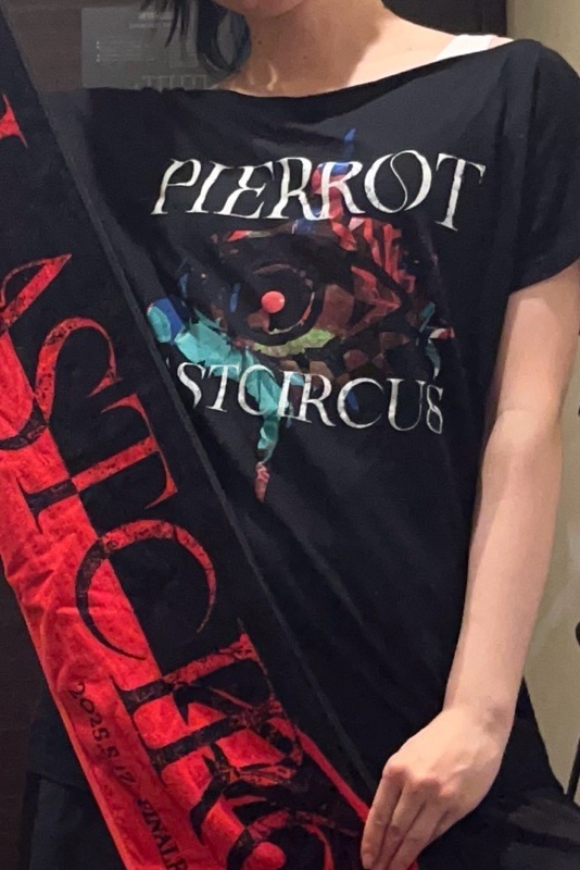 PIERROT「LASTCIRCUS」- FINALE – | 奈蜘の視界から