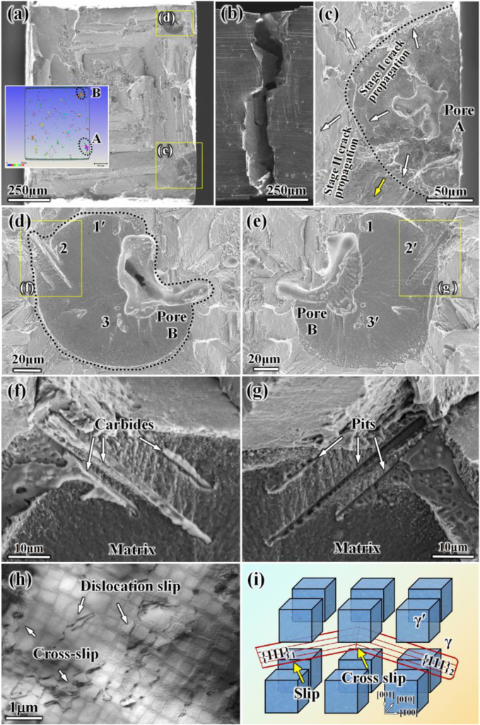 Ex-situ investigation of micro-pore evolution and crack initiation
