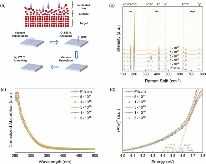 Defects-induced structural and optoelectronic properties in Se