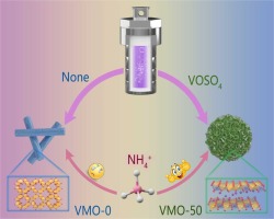 Cationic doping engineering of vanadium-incorporated MnO₂ enables