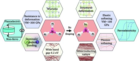 Elastic-phonon softening mediated ferroelectric properties in