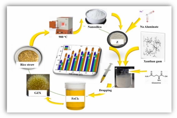 Tailored glutamine modified nanozeolite-Y/xanthan gum composite