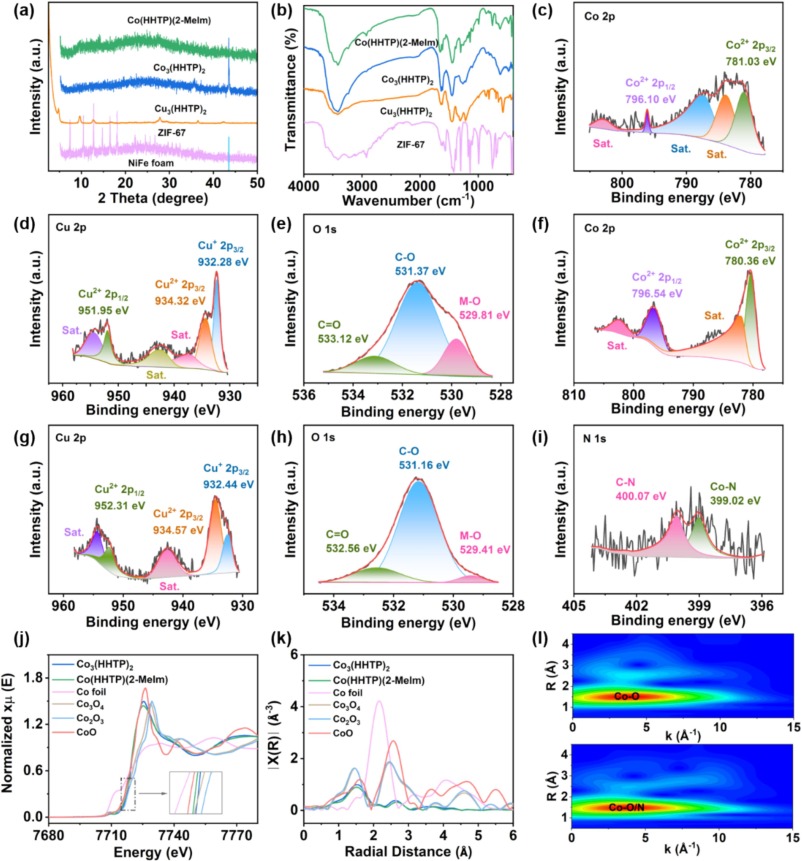 DFT-assisted structural design and morphological regulation of co