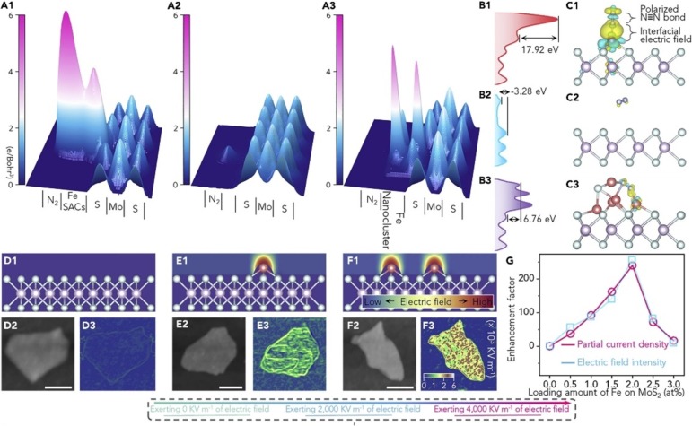 Unveiling the potential of step-scheme and Type II photocatalysts