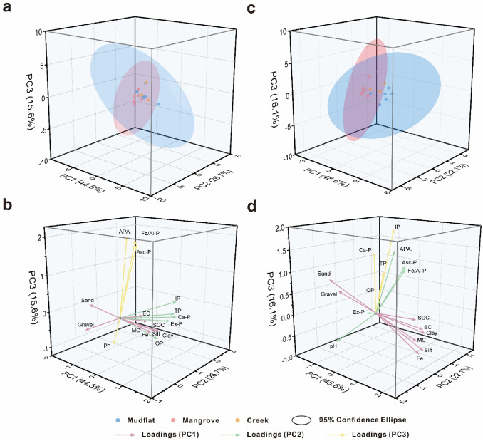 Rainstorm regulates phosphorus composition and migration along an