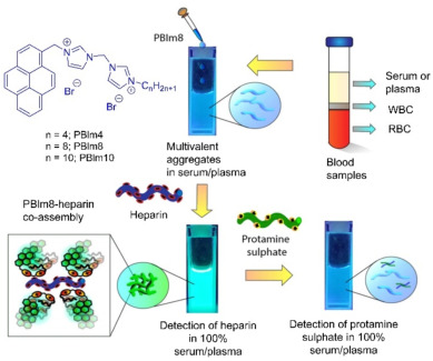 Dyes inspired ratiometric fluorescent sensors for