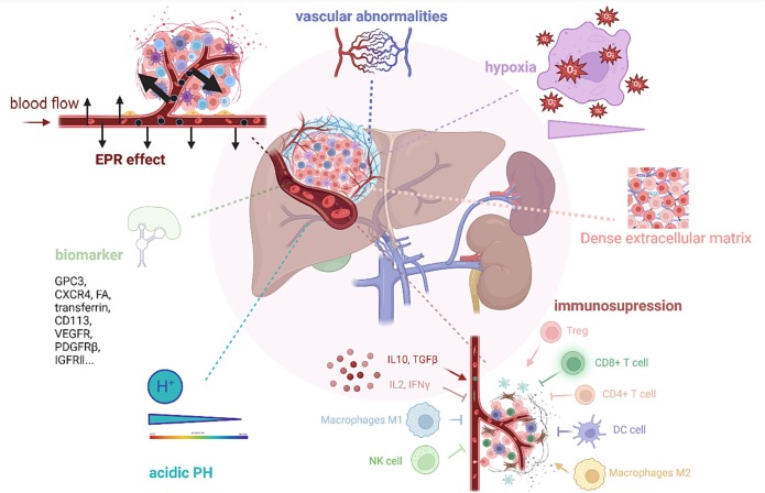 The application of nanoparticles in immunotherapy for