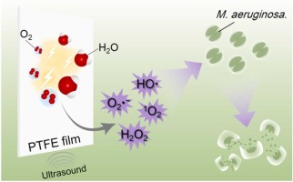 Low-frequency ultrasound assisted contact-electro-catalysis for