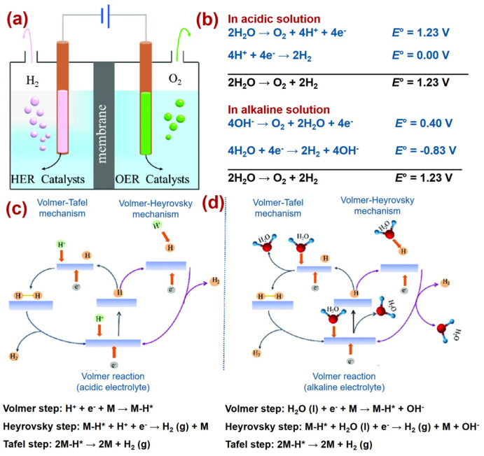 MOFs and MOF derivatives for electrocatalytic hydrogen evolution