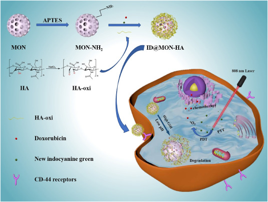 pH-responsive degradable mesoporous organosilica nanoparticle for