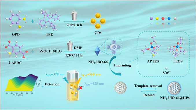 Construction of an ion-imprinted ratiometric fluorescence sensor