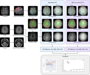 Diffusion tensor imaging metrics as natural markers of multiple