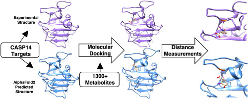 Assessing protein homology models with docking reproducibility