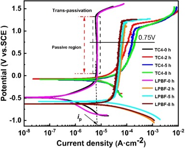 Cavitation erosion-corrosion properties of as-cast TC4 and LPBF