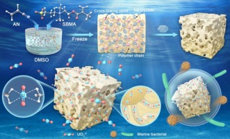 Triple enhancement of uranium extraction from seawater by