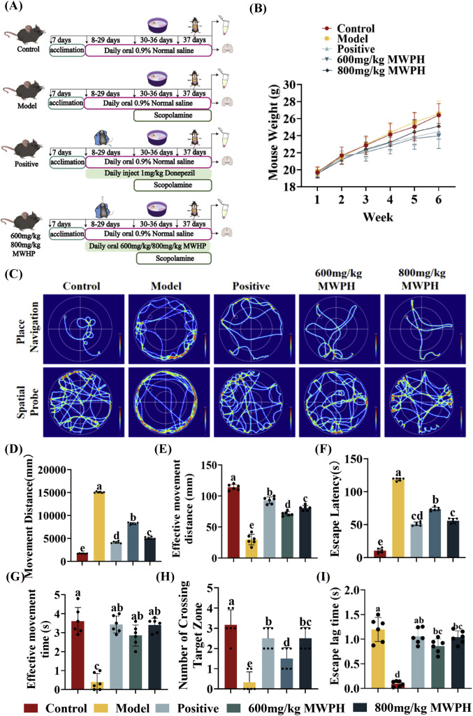 Enzymatic preparation of walnut-derived peptides and their