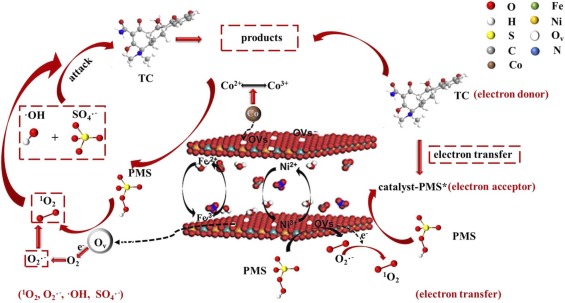 Single Co atoms incorporated on Fe-Ni-LDH with enriched oxygen