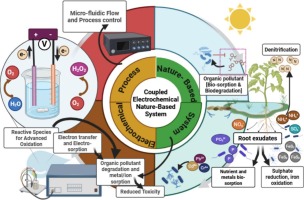 Coupling of electrochemical systems with nature-based solution for