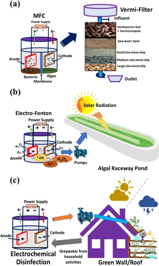 Coupling of electrochemical systems with nature-based solution for