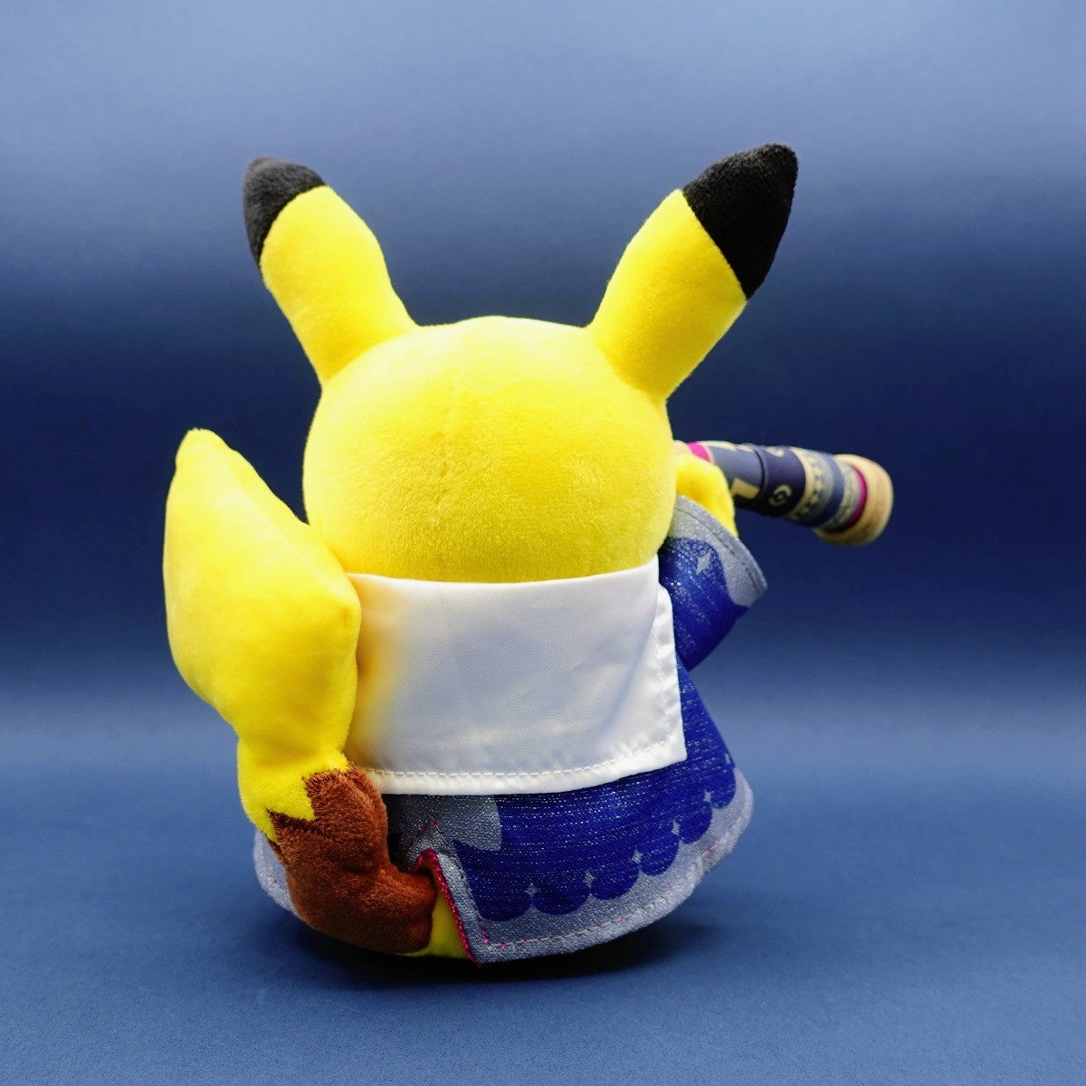 グッズ開封】特別企画展「ポケモン天文台」相模原市立博物館で1月12日