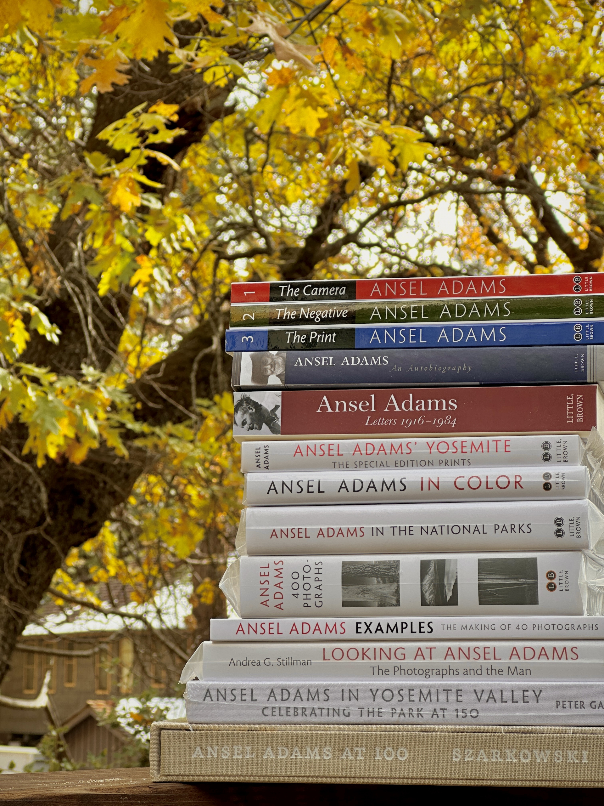 Ansel Adams Books - The Ansel Adams Gallery