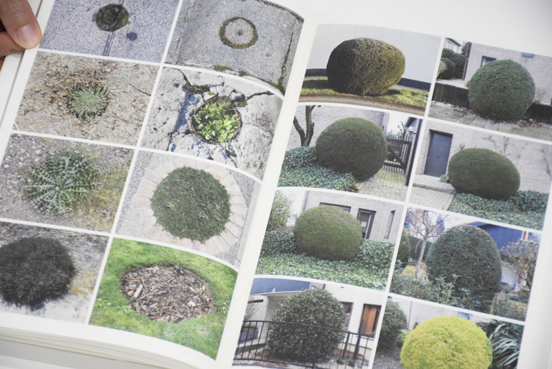 Book Of Plants (new edition) / Anne Geene / ON READING Online Shop