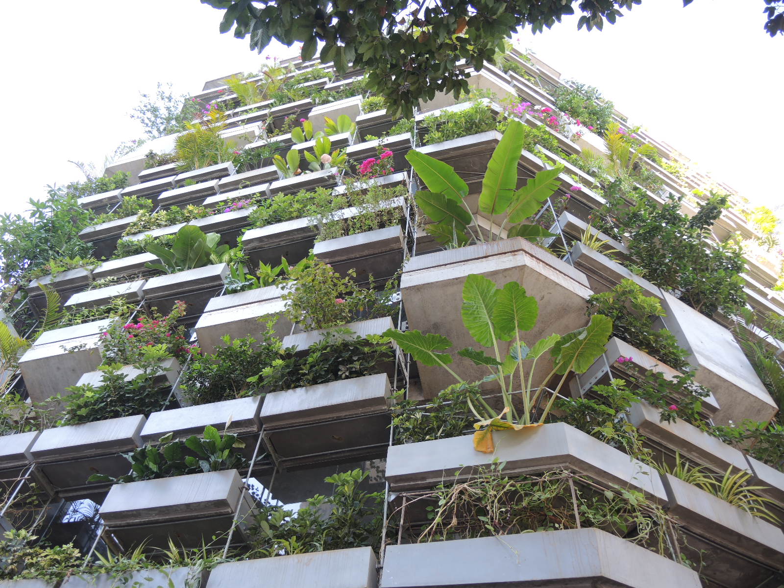 ヴォ・チョン・ギアの作品を見学する：artscapeレビュー｜美術館