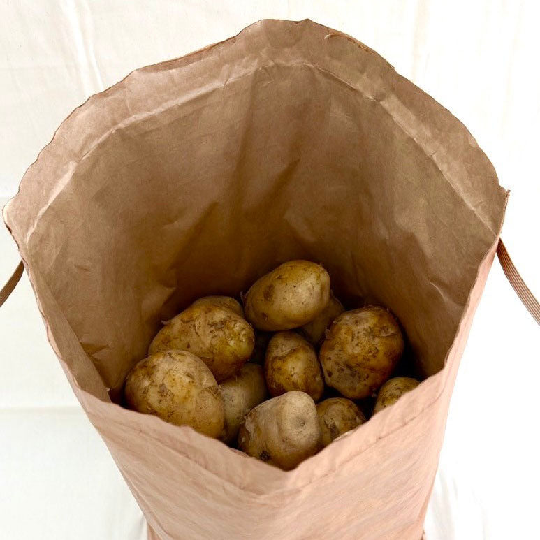 柿渋撥水米袋 30kg ロゴなし – aruhi-care