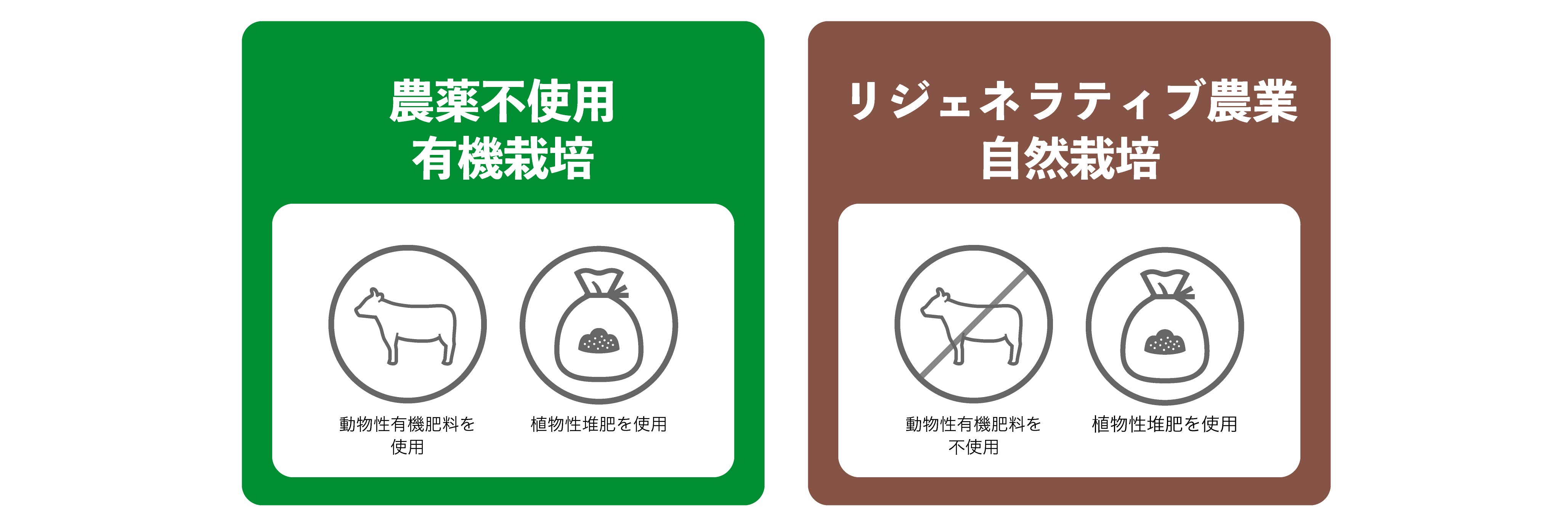 橙 ‐だいだい‐ 】ツクヨミお任せ野菜セット（農薬不使用・自然農