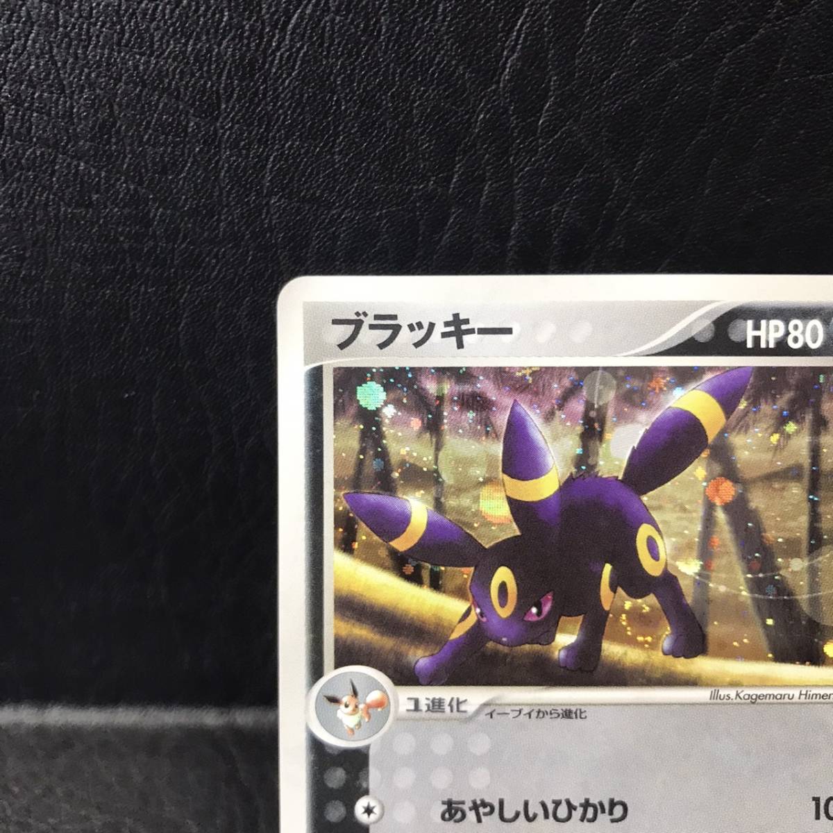 ブラッキー ホロPSA10 マグマVSアクア 1stエディション 1ed ブラッキー