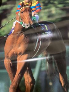 JRA ヒーロー列伝のYahoo!オークション(旧ヤフオク!)の相場・価格を