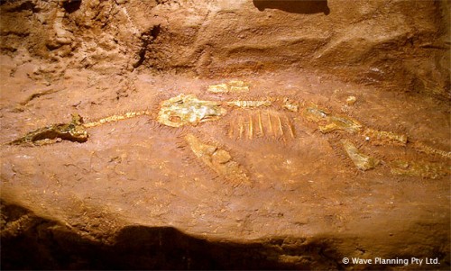 オパールになった恐竜 ～南オーストラリアで発見されたエリック