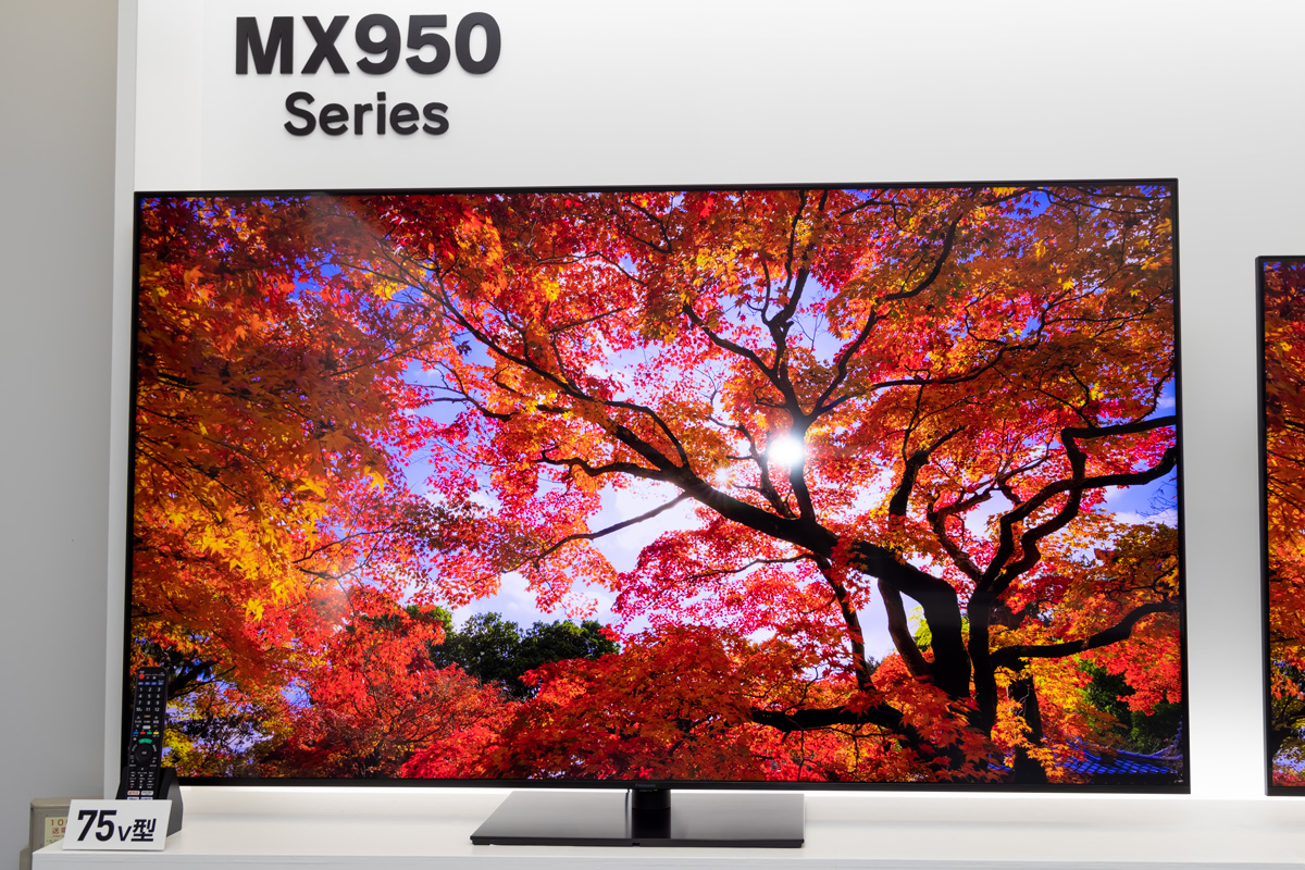 パナソニックテレビ TH-65MX950 デジコア端子統合モジュール(A