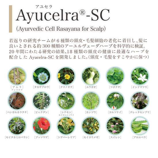 髪のインナーケア【肌や頭皮にやさしいヘアトリートメント】