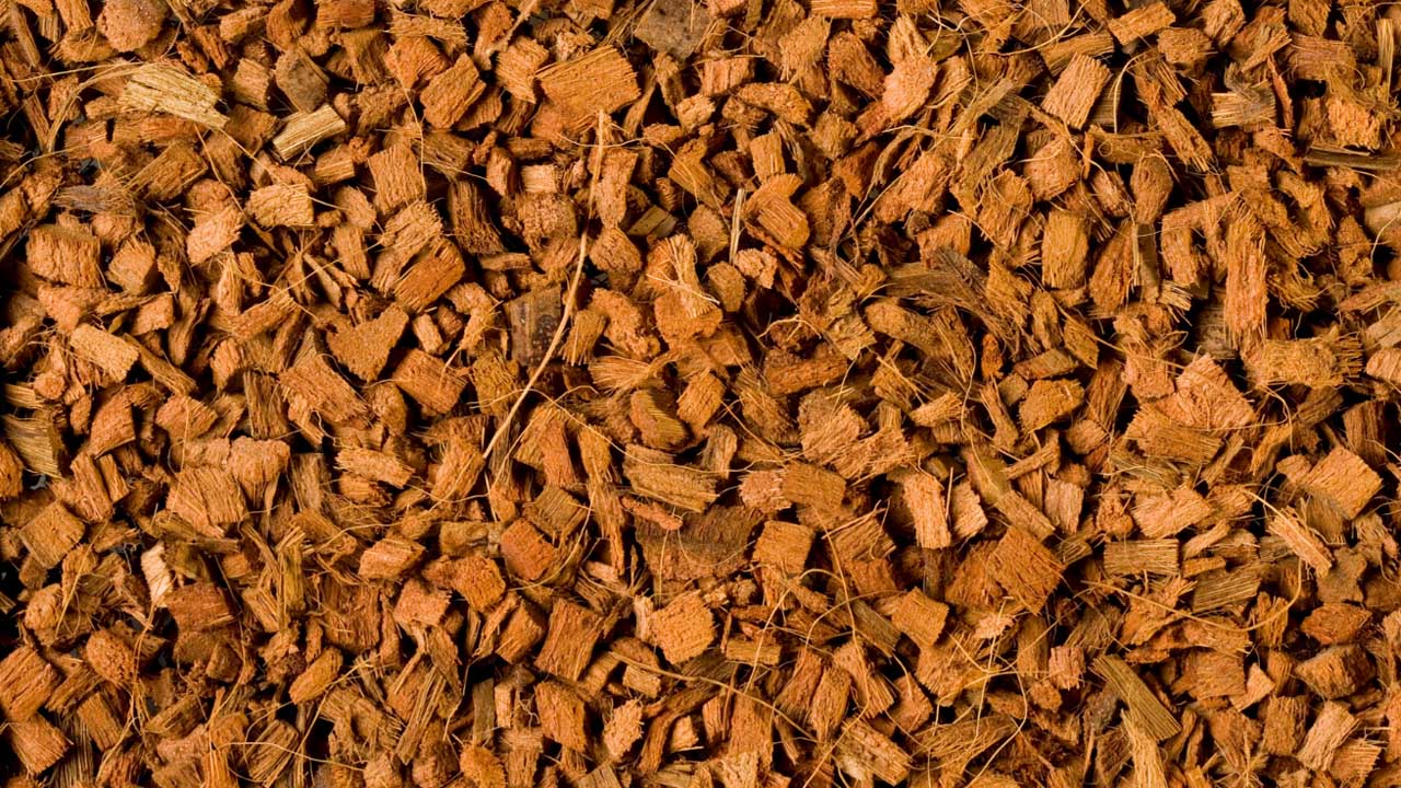 Coco Husk Brick 3-pack 24QT – 26,4L